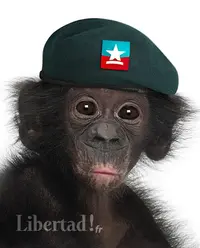 Libertad!