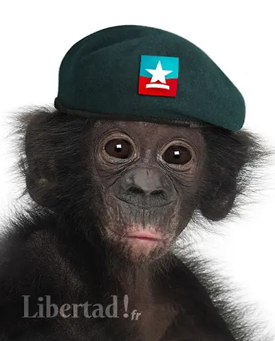 Libertad!