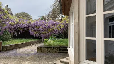 Boussaingault-peigné