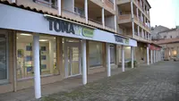 Toma Interim