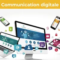Malice Conseil