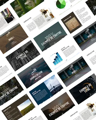 Agence de Communication le Petit Moineau