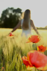 À Fleur de Com 