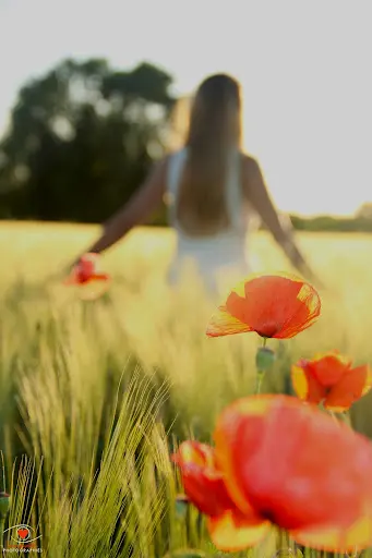À Fleur de Com 