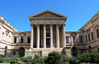 Fiammetta Di Pierro, Traductrice Assermentée Italien - Français