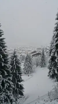 Fiducial Expertise Morzine