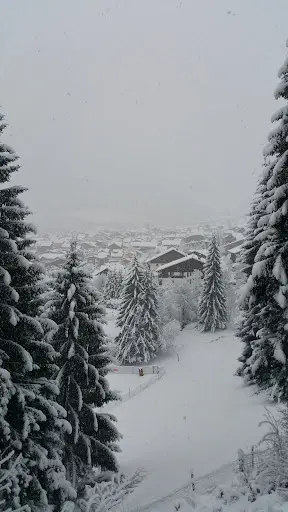 Fiducial Expertise Morzine