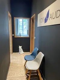 Fox Audit - Expert-comptable Nantes