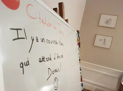 Les Causantes