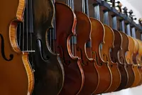 Concertae