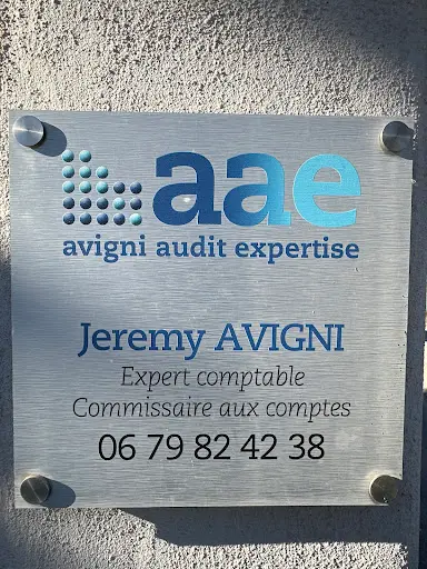 Avigni Audit Expertise