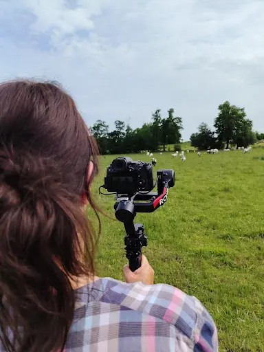 De Visu Films Productions Audiovisuelles