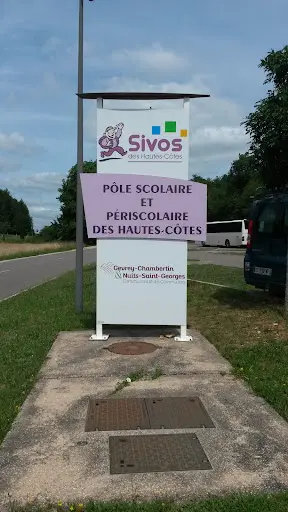 Dv2p David Vigoureux