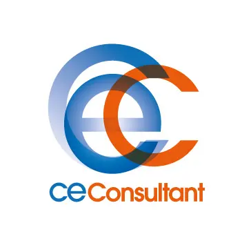 Cse Consultant