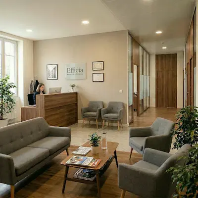 Efficia Expertise et Conseil