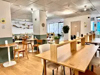 Koneko Work | Paris 12 | Coworking Avec Chats À l'Adoption