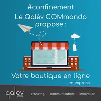Qalev Intelligence Branding
