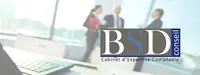 B.s.d Conseil