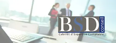 B.s.d Conseil