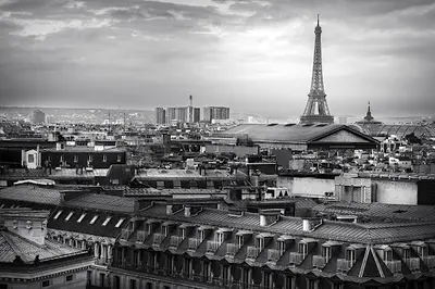 Rif Détective Privé Paris