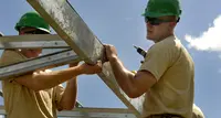 Celtis Travail Temporaire