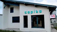 Capika Conseil & Expertise