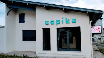 Capika Conseil & Expertise