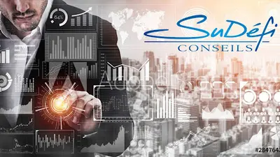 Sudefi Conseils