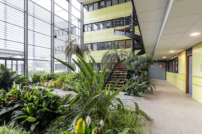 Expert Comptable Xo Conseil Quimper - Pont l'Abbe