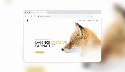 l'Agence du Coin