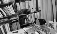 Brep Détective Rouen - Groupe Allarys