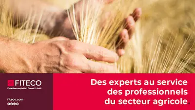 Expert-comptable Fiteco Sablé-sur-sarthe