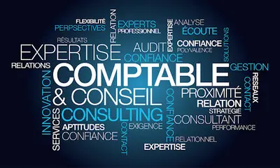 Soluce Expert Conseil