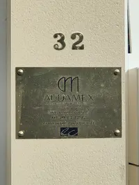 Audamex Victor de Araujo Amvda Expertise Conseil