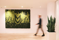 Success Storhy / Fauve - Cabinet de Recrutement