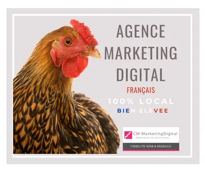 Cm Marketing Digital