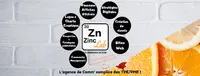 Zinc Lab Communication