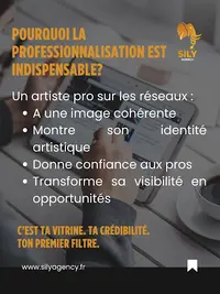 Sily Agency
