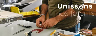 Agence d'Intérim Ace Emploi - Saint-etienne-de-saint-geoirs