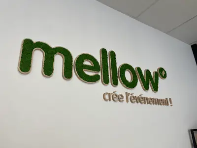 Mellow Evènement