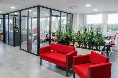 Augexia Partner
