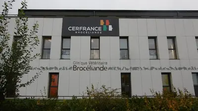 Cerfrance Brocéliande