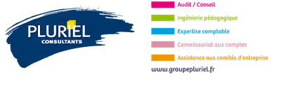 Pluriel Consultants