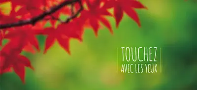 Automne