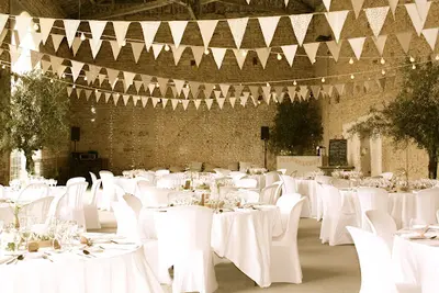 Luz Decoratrice -
