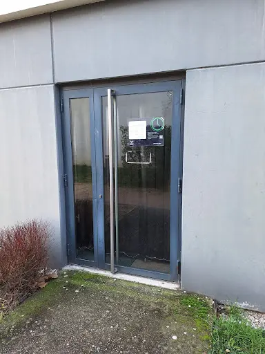Randstad-onsite