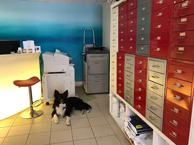 Agence Caractère St-tropez