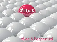 Btobuz Consulting