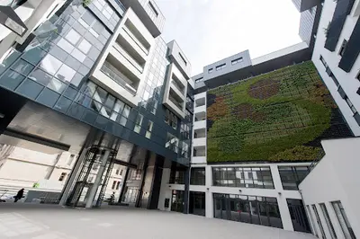 Adexia Expertise Strasbourg - Expert-comptable