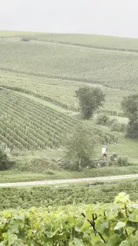 Sancerre-tourism